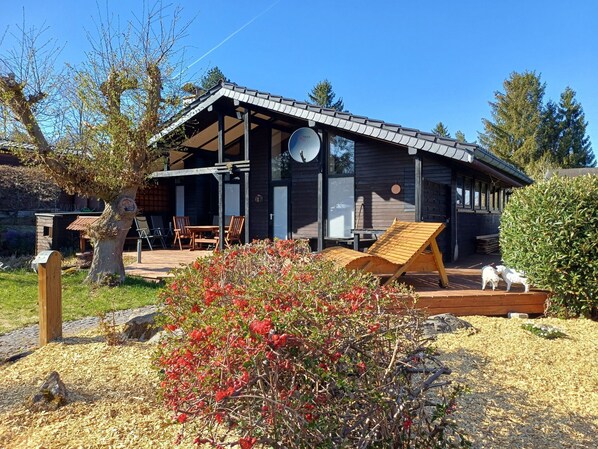 Property grounds - Amselnest by Interhome (Allendorf)