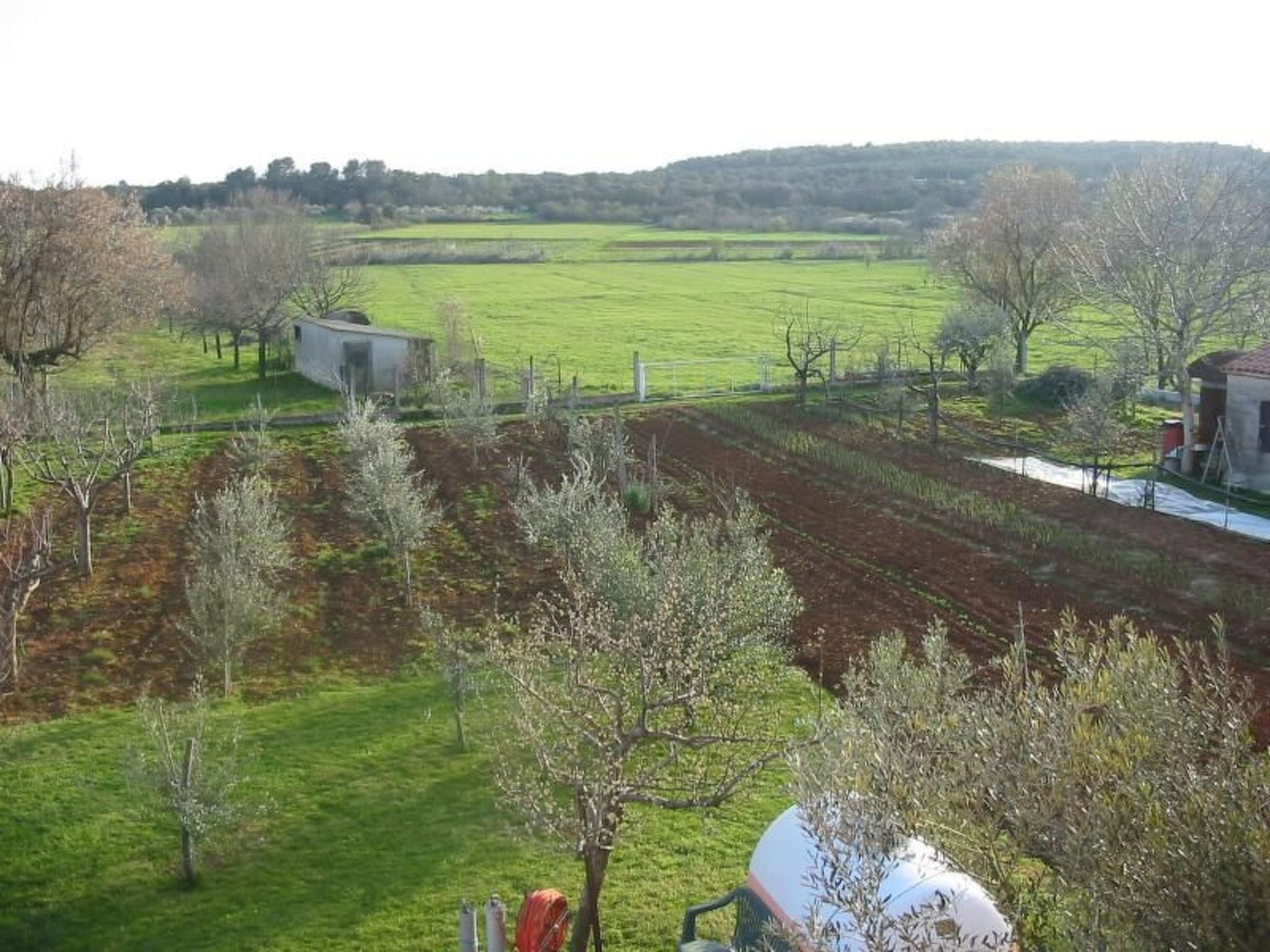 Un paysage rural avec des champs, des arbres et quelques bâtiments.
