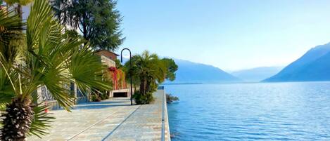 A waterfront property with a paved walkway, palm trees, and a view of the lake and mountains.