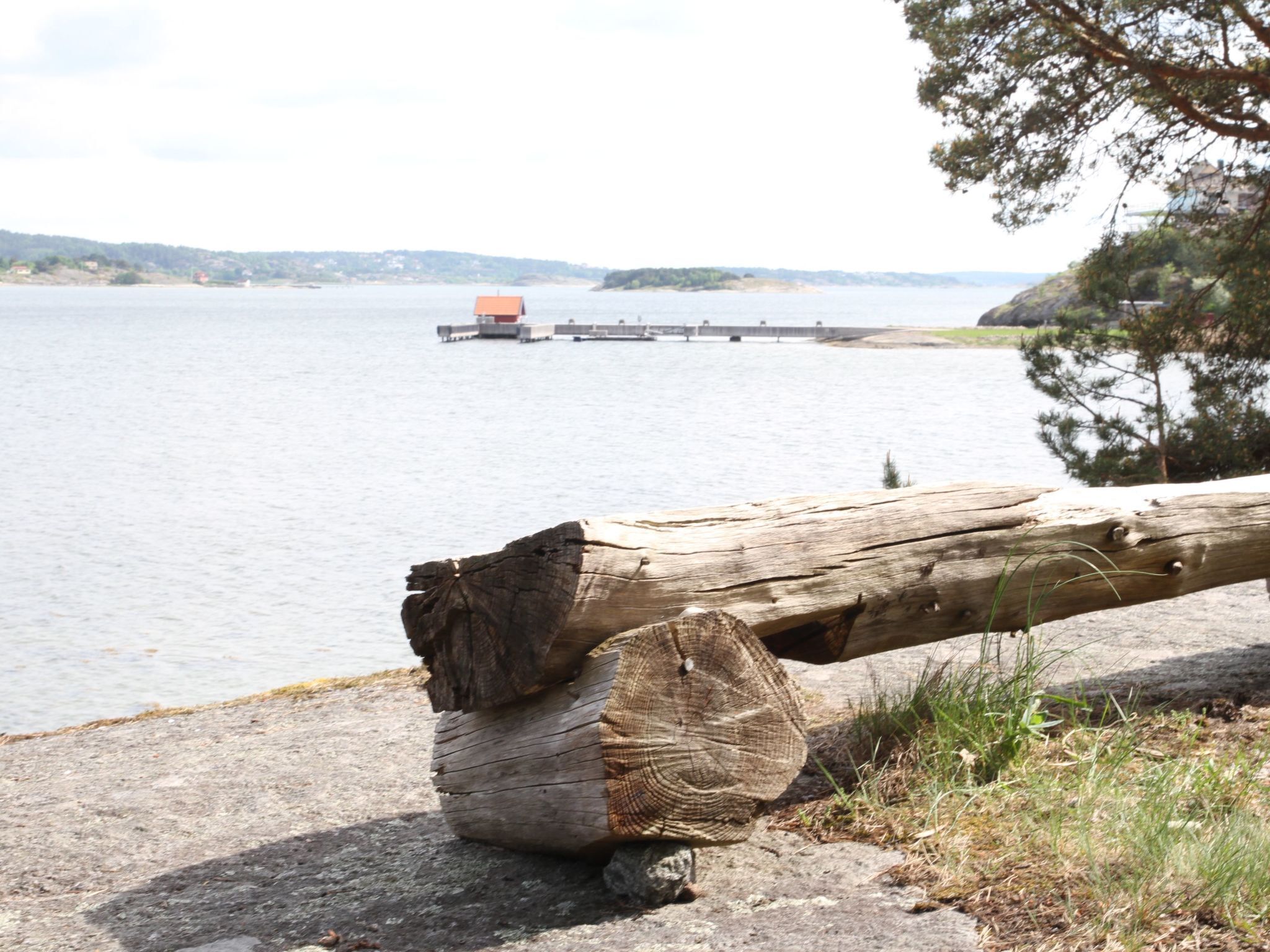 A log on a concrete surface by a body of water with a distant structure.
