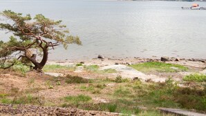 Une vue sur le lac, avec un arbre et une rive rocheuse.