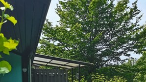 Zona d'estar exterior coberta amb taula i cadires, envoltada de vegetació exuberant i un arbre gran.