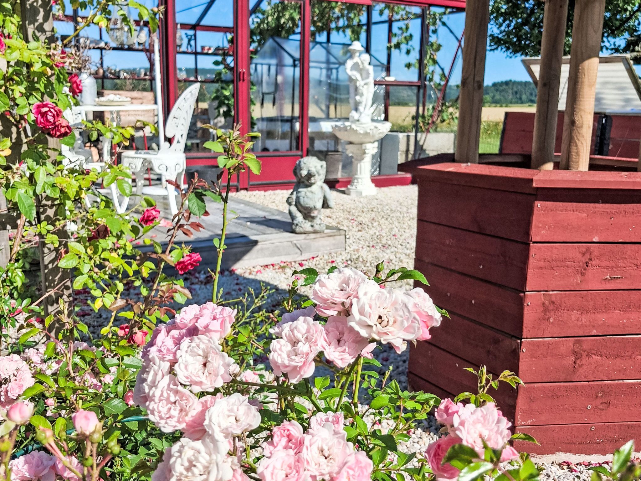 Un jardín con rosas rosadas, una estatua blanca y una estructura de madera roja.