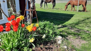 Um estábulo com dois cavalos pastando em um campo, cercado por uma vedação e diversas flores.