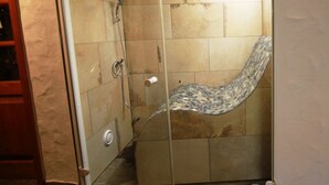 A shower stall with a curved showerhead and a control panel on the wall. - Simonis Privatpool by Interhome (Zell (Mosel))