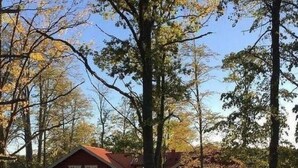 Ein rotes, zweistöckiges Haus mit rotem Dach, umgeben von Bäumen und blauem Himmel.