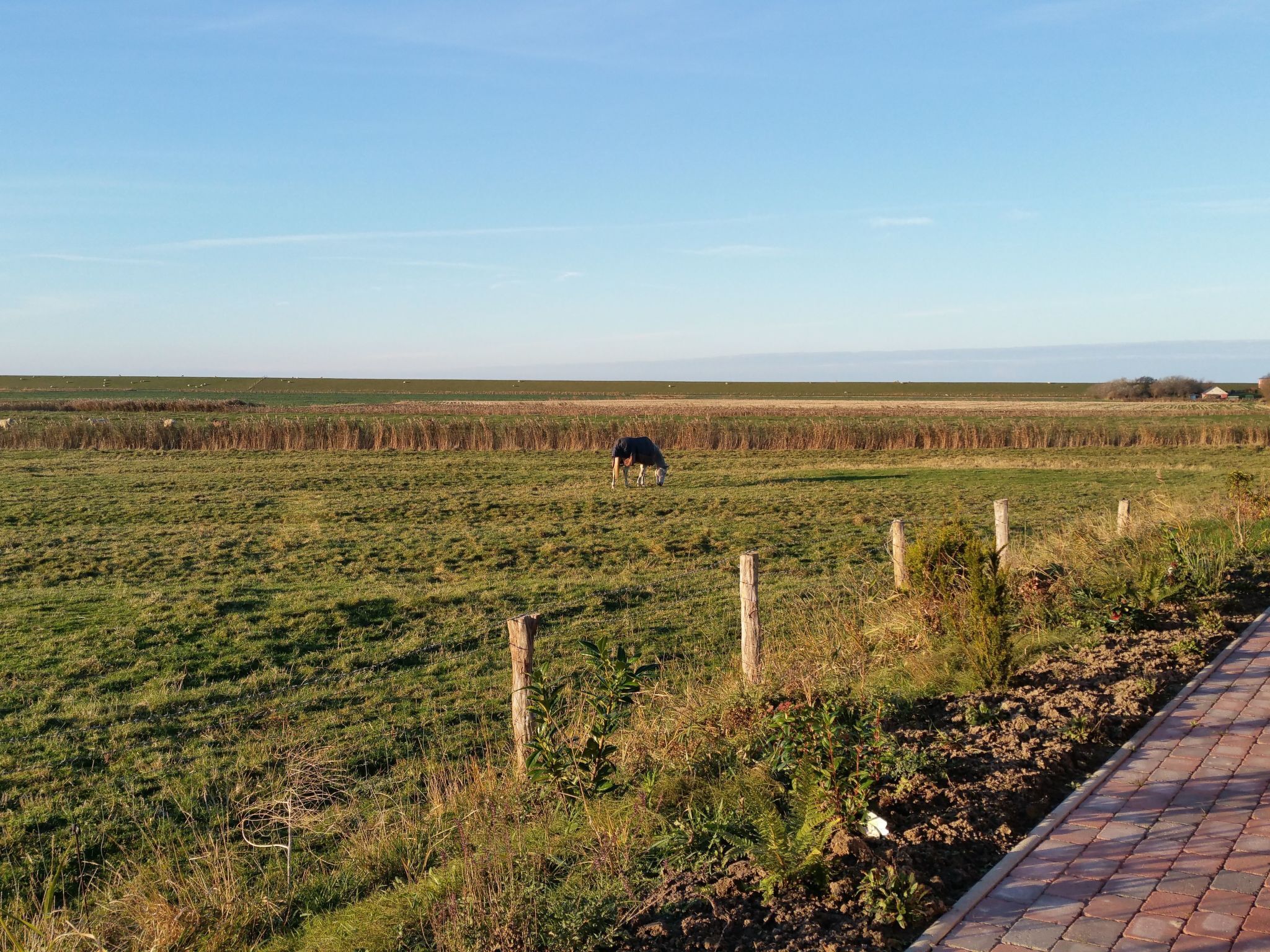 A rural landscape with a cow grazing in a field, a fence line, and a paved path.