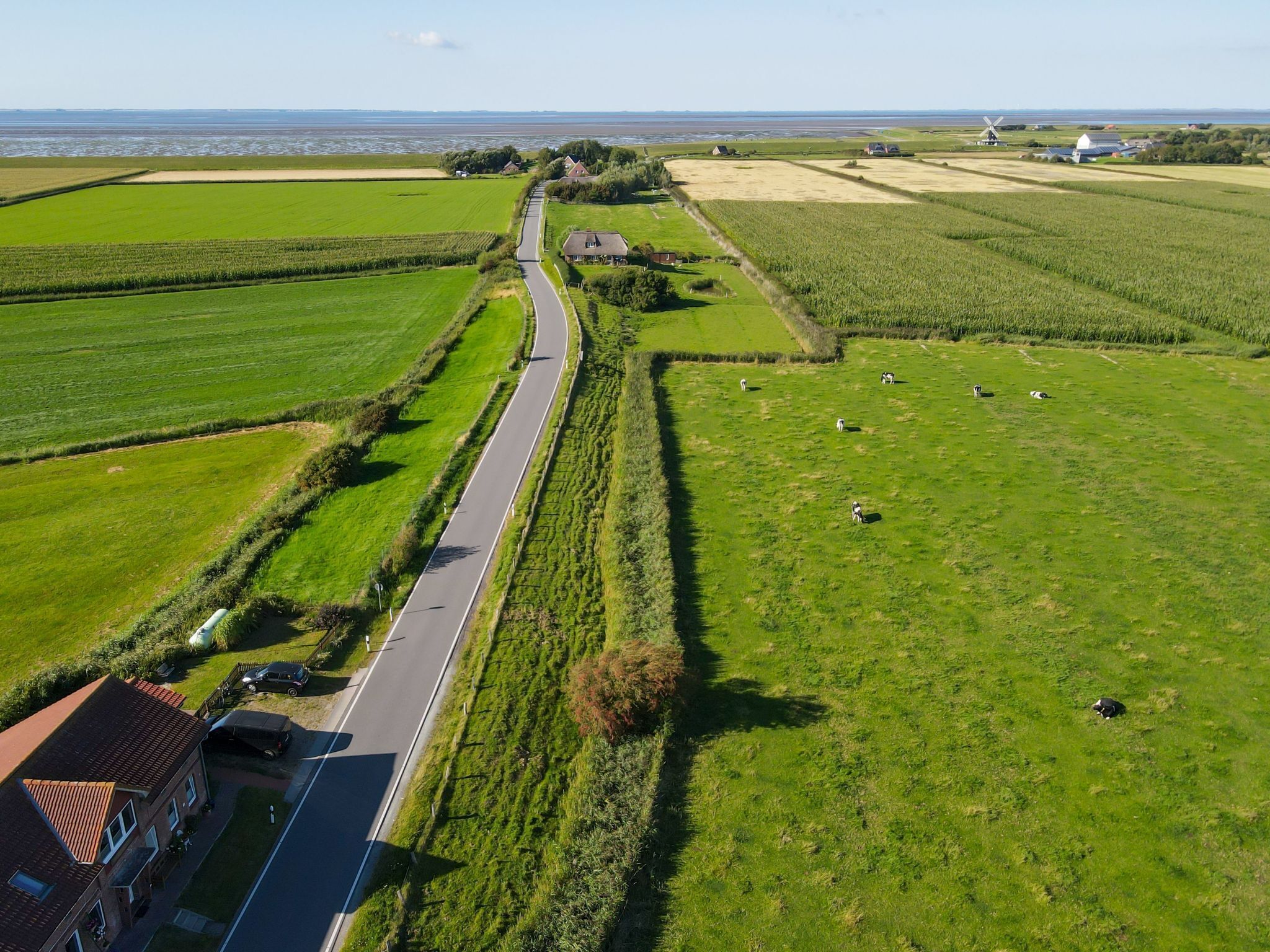 An aerial view of a rural landscape with a winding road, green fields, and a windmill in the distance.