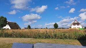 Un paisaje rural con casas, un campo y cielo despejado.