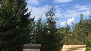 Two wooden lounge chairs on a sandy surface with a backdrop of trees and a clear sky. - in Frauenberg mit Garten by Interhome (Haidmühle)
