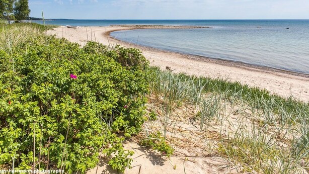 A beach with clear water, sandy shore, and green vegetation. - Ljugarn 2 by Interhome (Ljugarn)