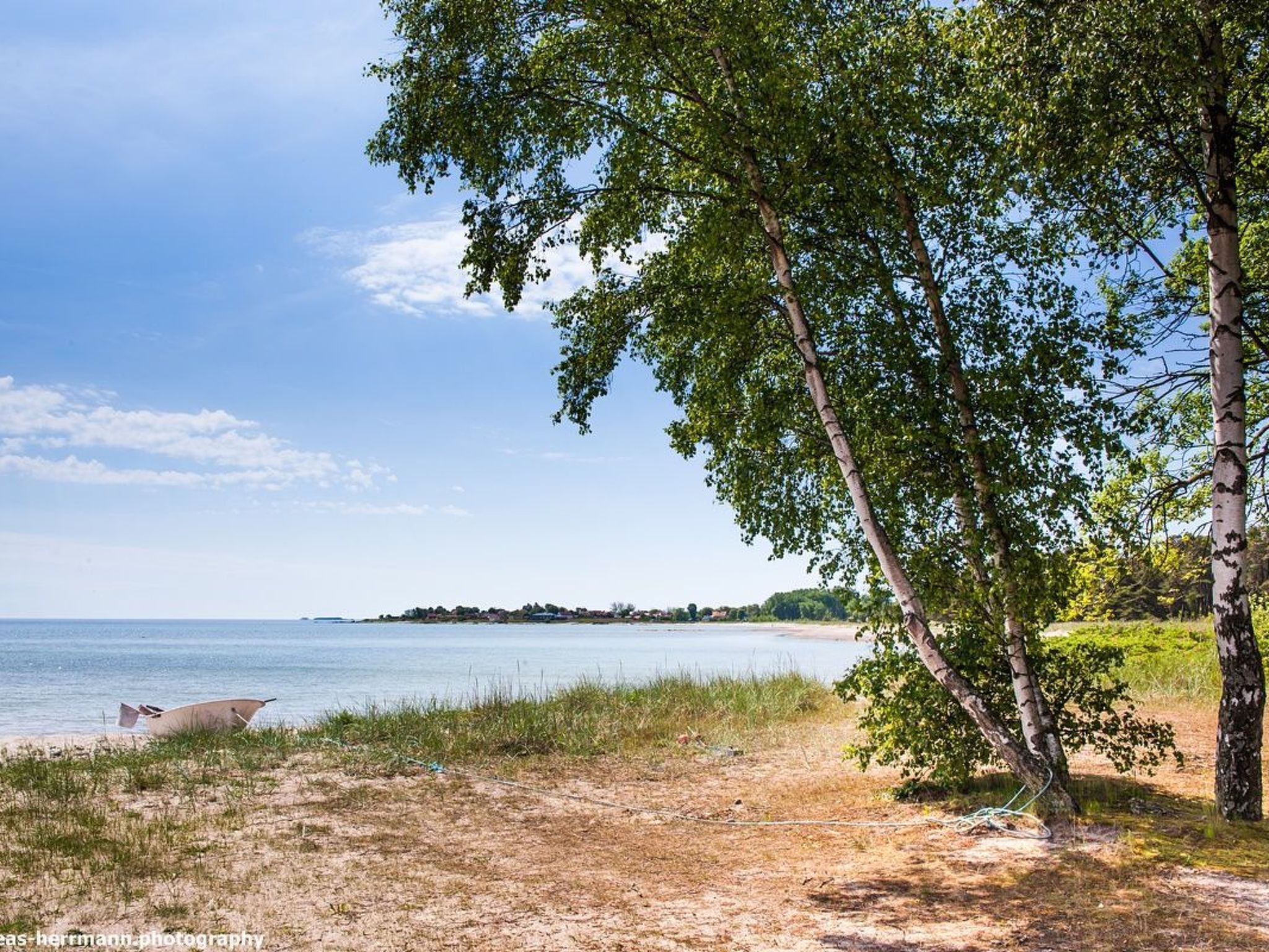 A beach with a boat, trees, and a distant shoreline.