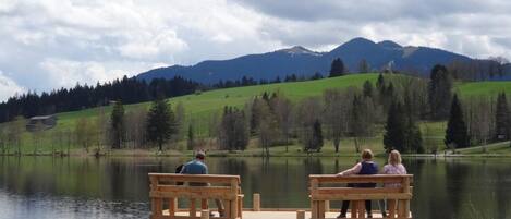 Área da propriedade