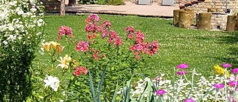 Área da propriedade