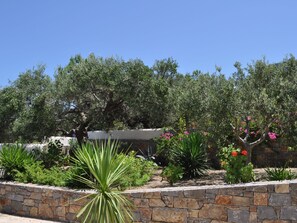 Property grounds - Nefeli Blue Villa in altem Olivenhain, Meerblick by Interhome (Analipsi-Hersonissos)