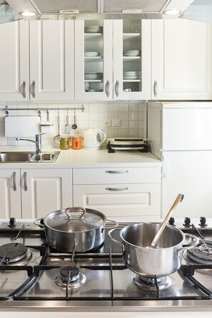 Fridge, oven, dishwasher, cookware/dishes/utensils