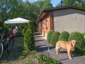 المنطقة المحيطة بالمنشأة