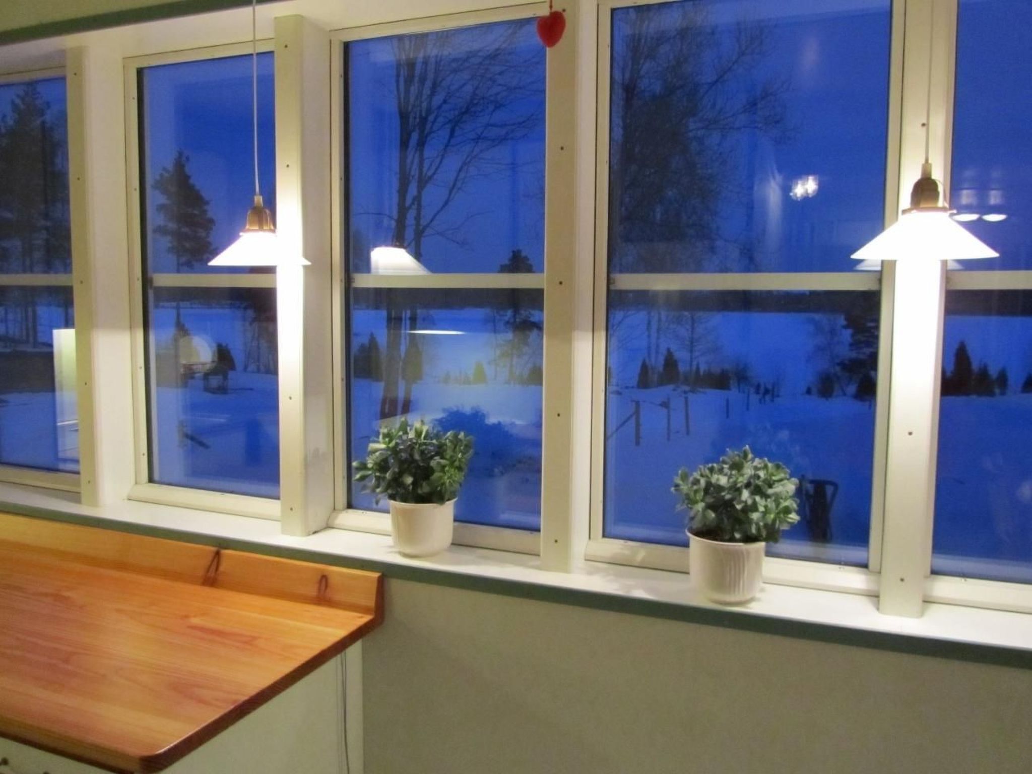 A window with three potted plants and two hanging lamps.
