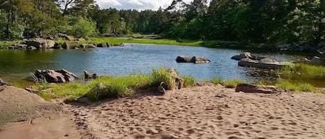 Ein sandiger Strand mit einem ruhigen Fluss und dichtem Wald im Hintergrund.