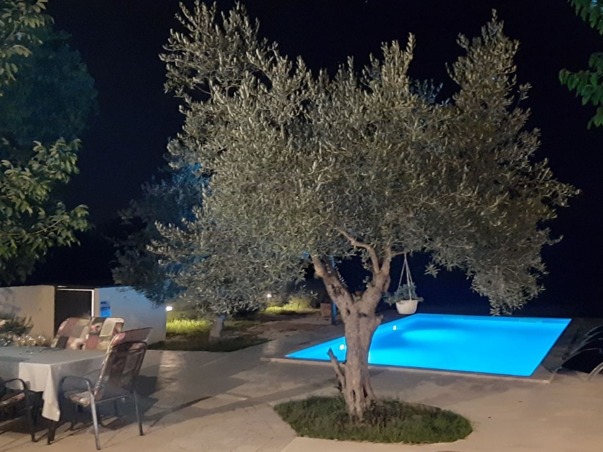 An outdoor pool area at night with a dining table and chairs, surrounded by trees.
