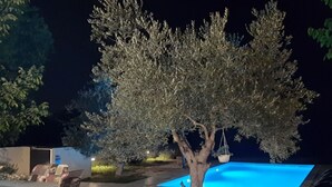 An outdoor pool area at night with a dining table and chairs, surrounded by trees. - AQUA mit Pool by Interhome (Pula/Banjole)