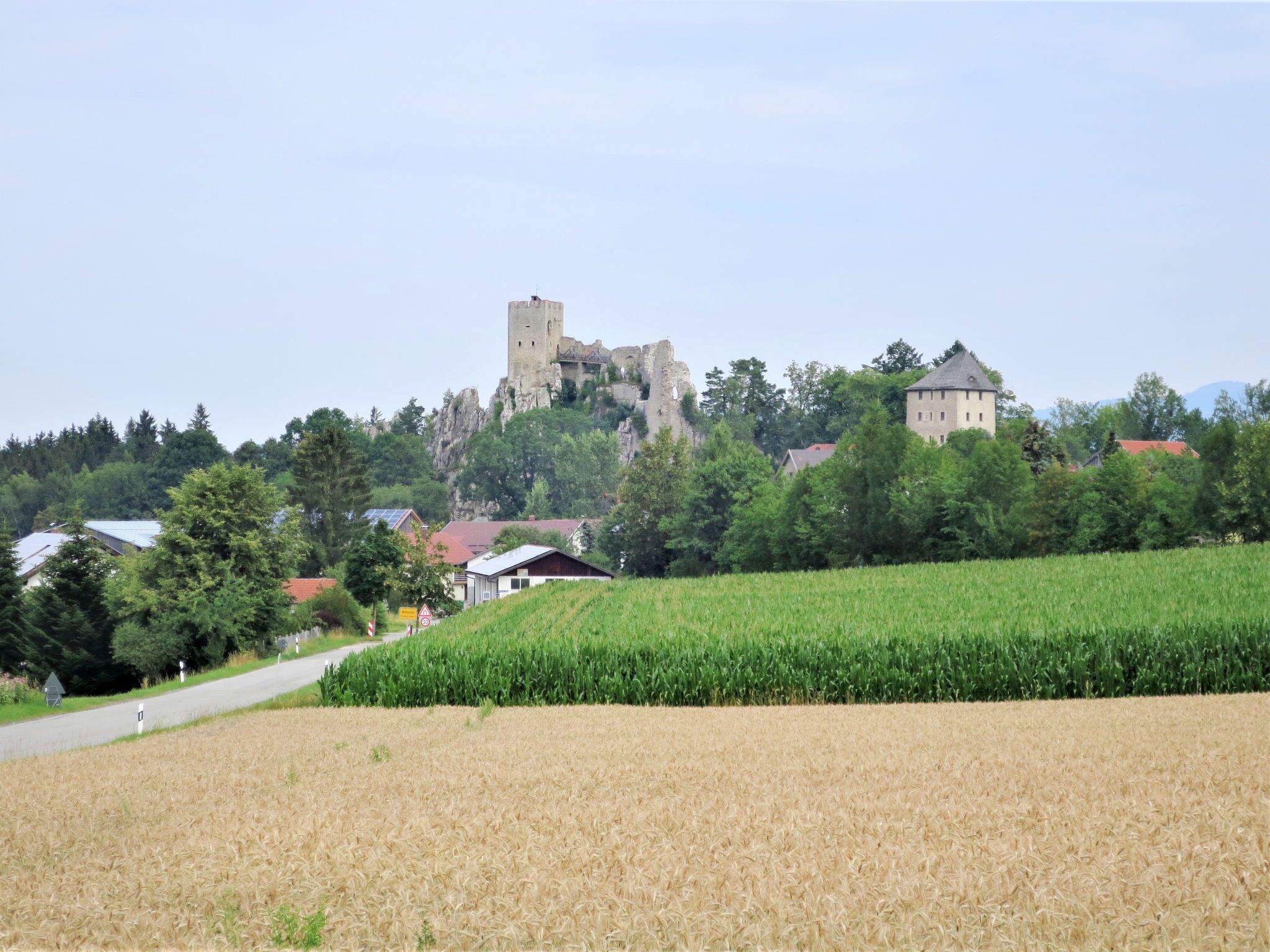 A rural landscape with a castle on a hill, surrounded by trees and houses.