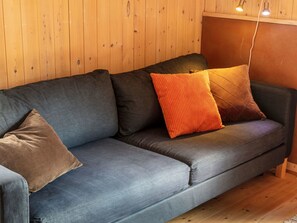 Télévision, cheminée, lecteur de DVD