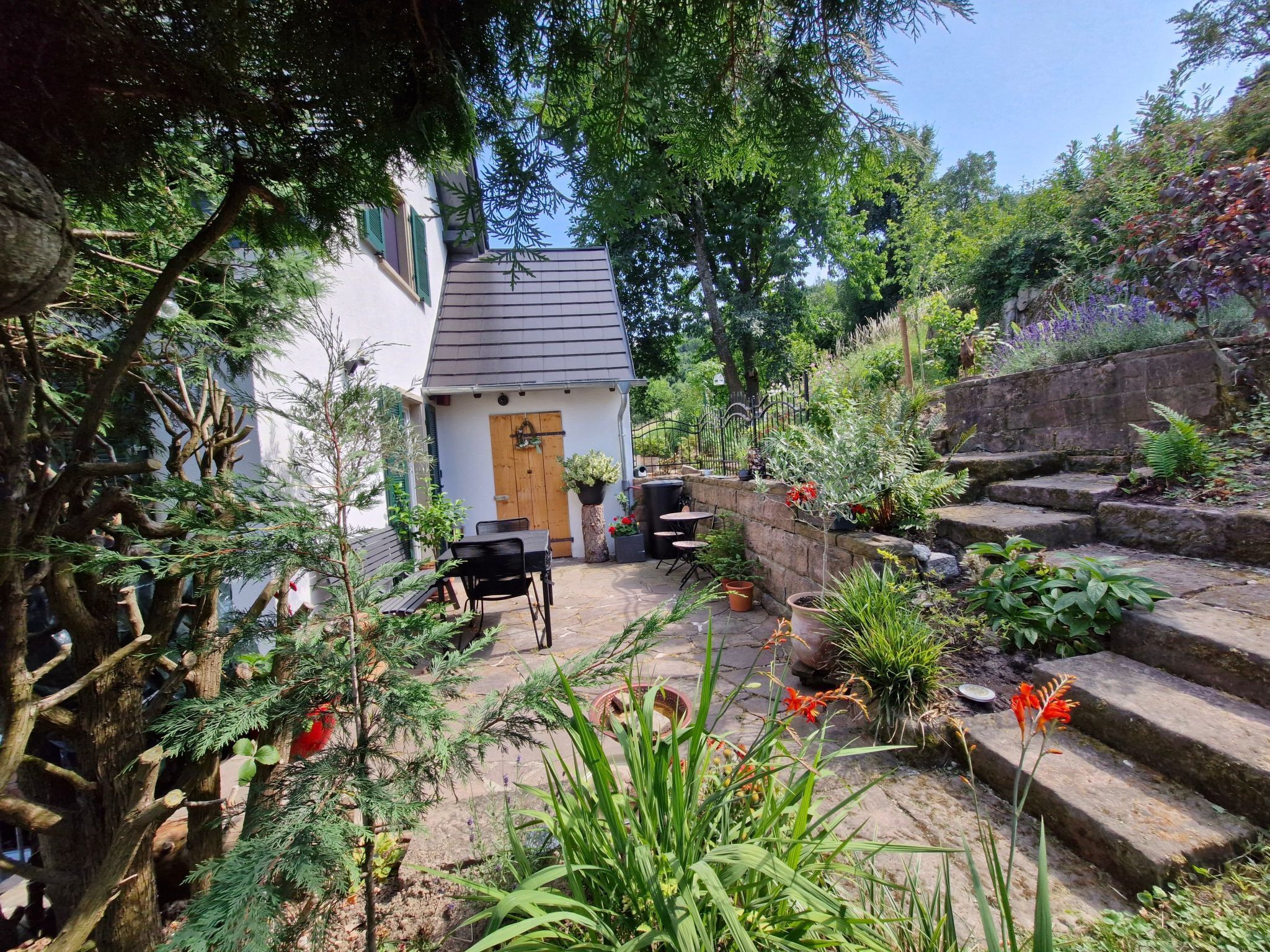 تناول الطعام بالخارج