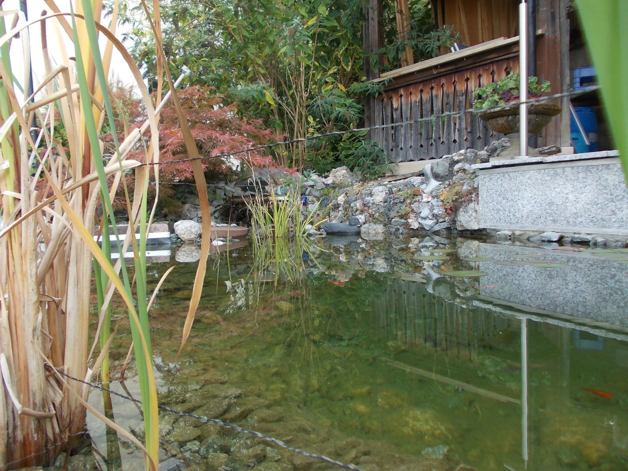 Parco della struttura