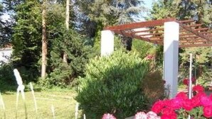 En have med pergola, frodigt grønt og blomstrende lyserøde blomster.