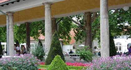 Ferienwohnung Elisa by Interhome