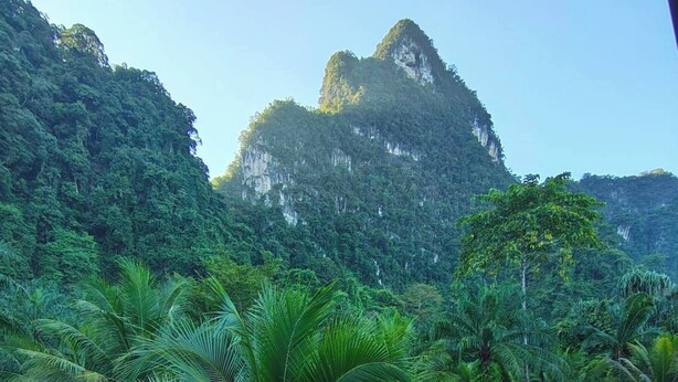 Una terraza de madera con un banco que da a un paisaje verde exuberante y una montaña.