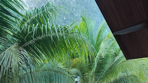 Property grounds - Escape to Nature in Ao Luek Tai with Thai-Style House (Ao Luek Tai)