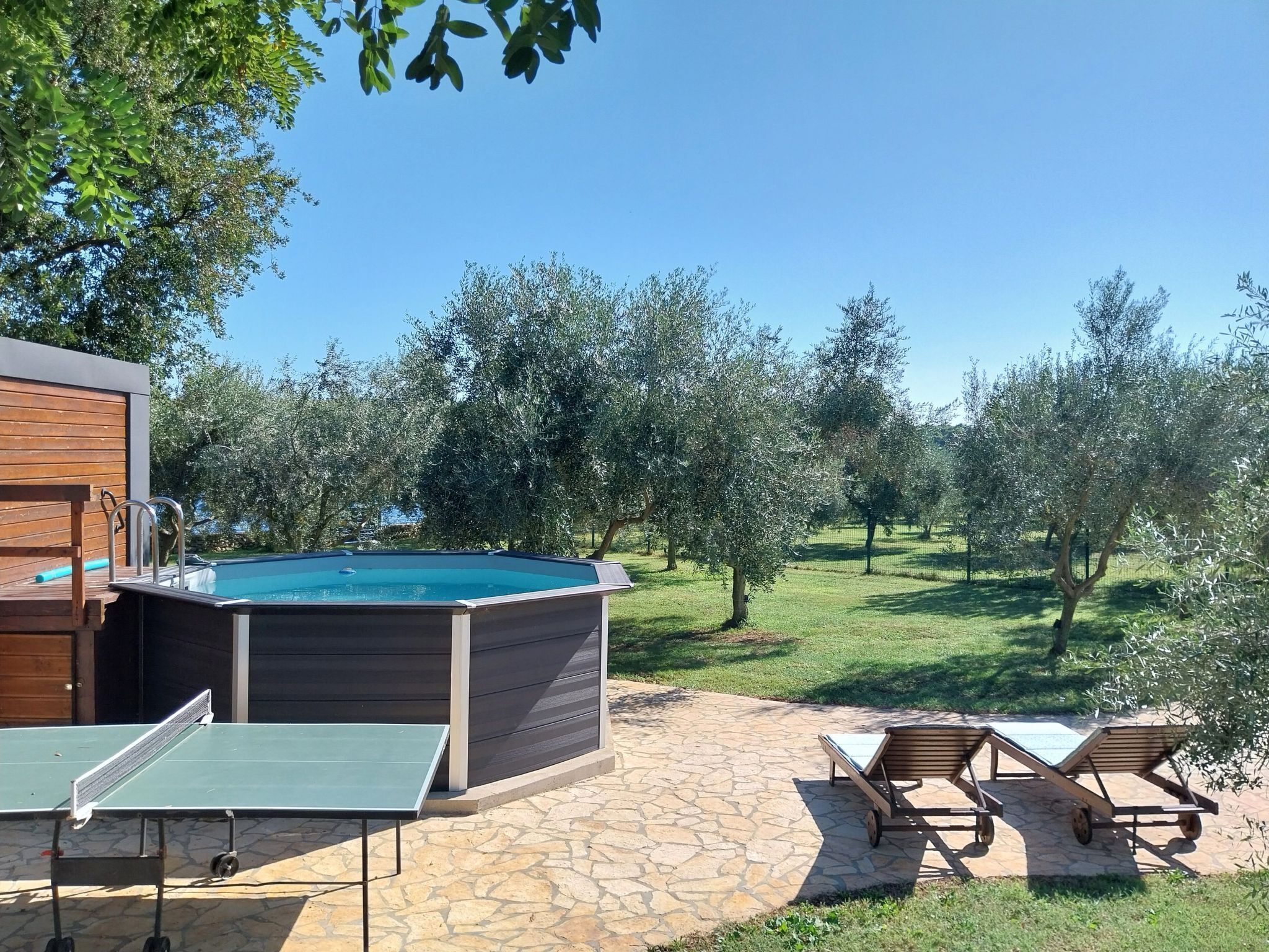 A swimming pool with a wooden deck and lounge chairs, surrounded by olive trees and a stone patio.