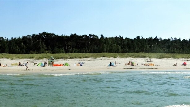 Une plage avec des gens et des tentes, un rivage sablonneux et une forêt en arrière-plan.
