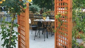 Uma área de pátio ao ar livre com pérgola de madeira, uma mesa redonda e cadeiras.