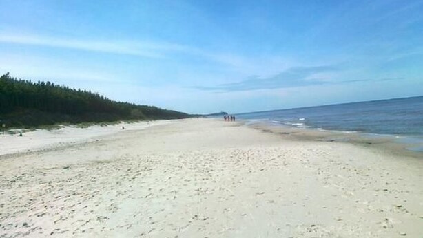 Uma extensa praia de areia com uma área arborizada de um lado e um céu azul e límpido.