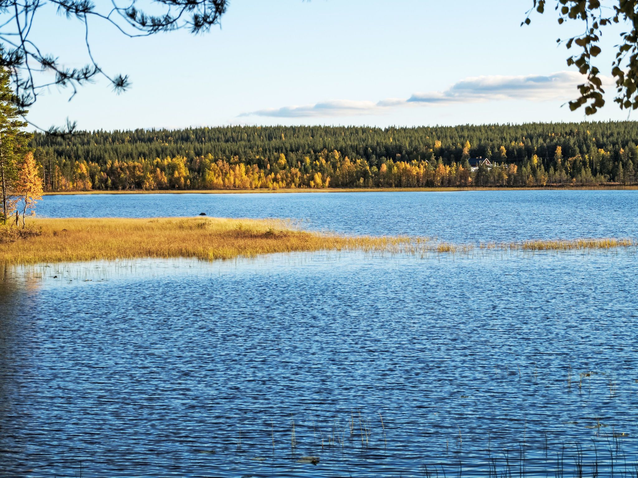 A lake with a forested shoreline and a clear sky.