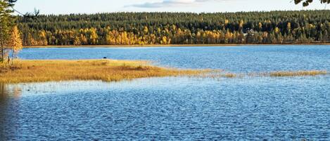 A lake with a forested shoreline and a clear sky.