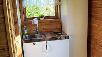 Una cocina compacta con estufa, lavabo y ventana con planta.