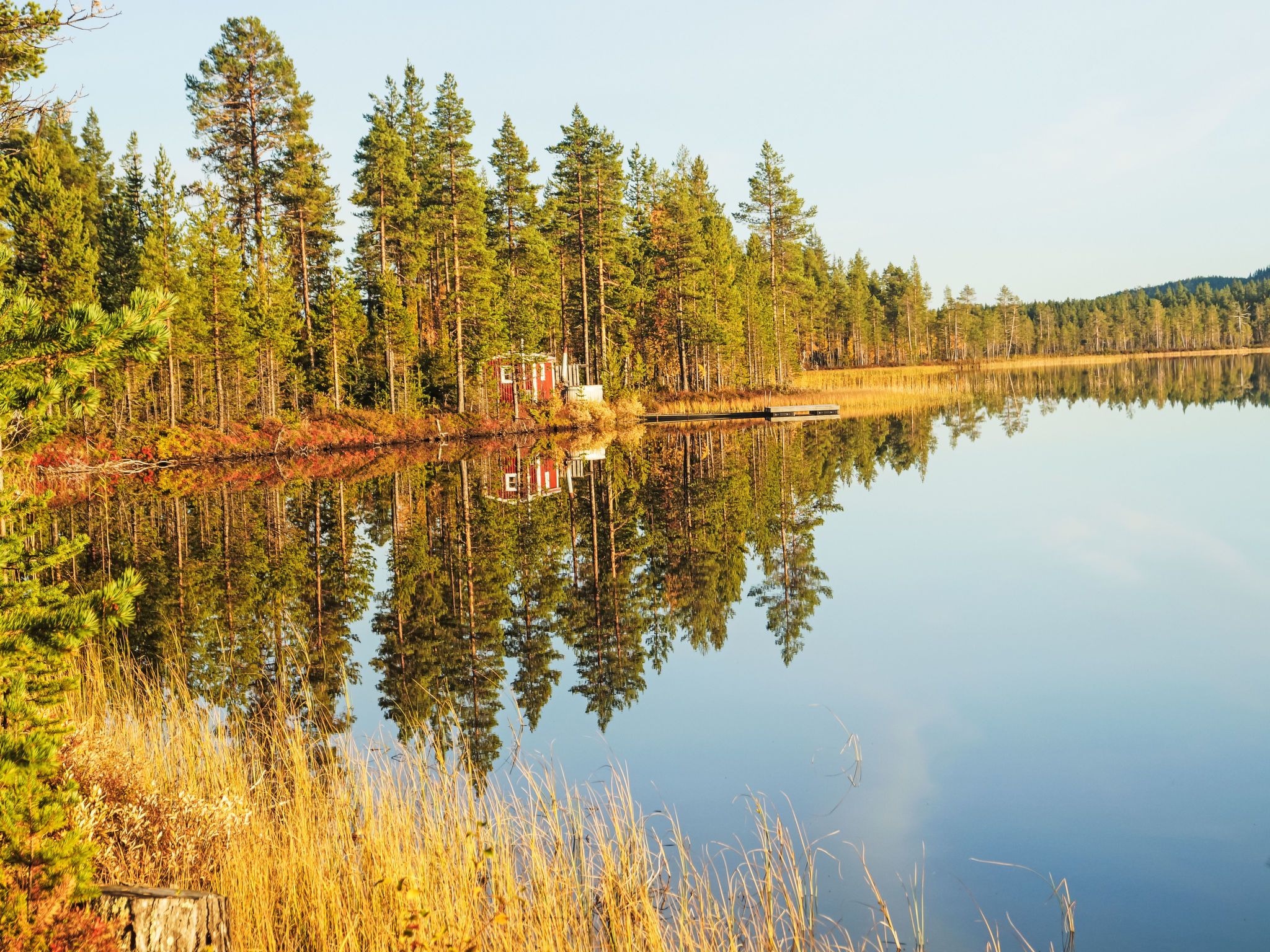 A calm lake with reflections of trees and a dock.