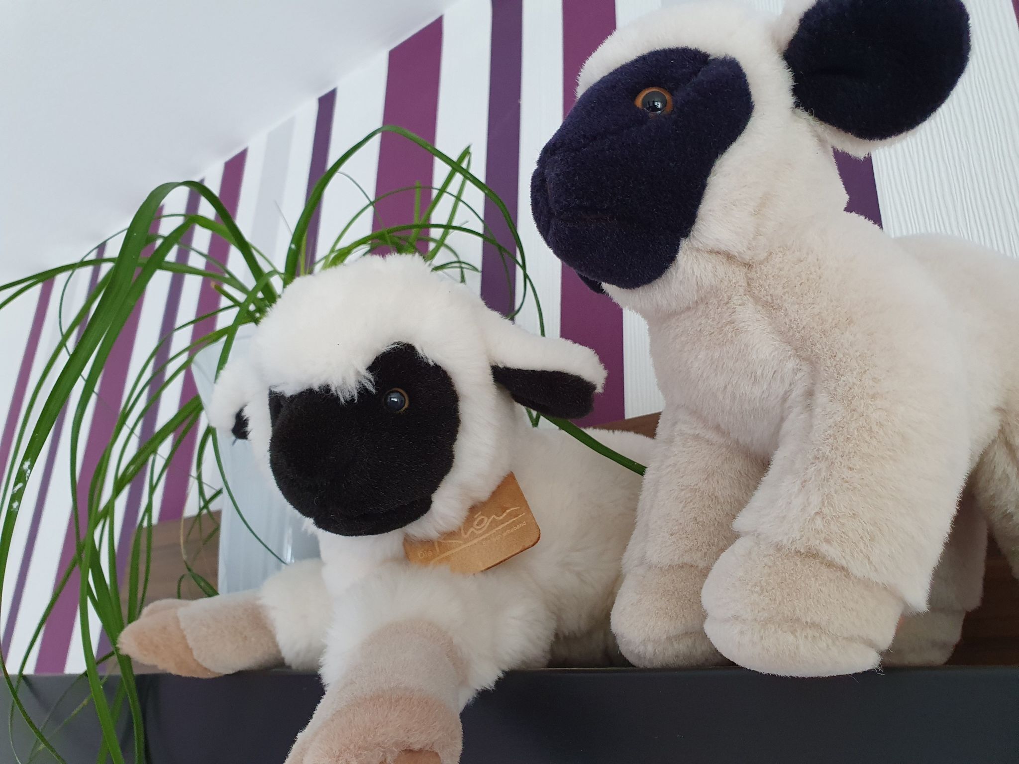 Two plush sheep toys sitting on a shelf with a striped background and a green plant.
