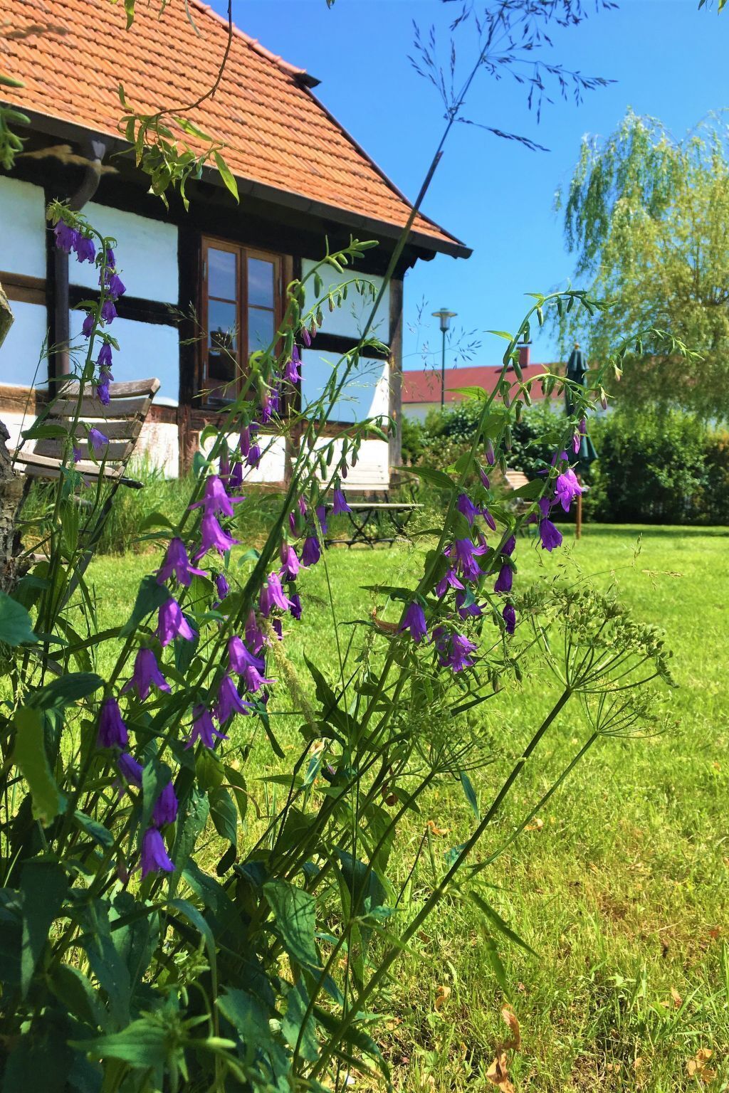 A building with a red-tiled roof and a white facade, surrounded by a grassy lawn and purple flowers.