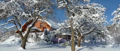 Ulkopuoli