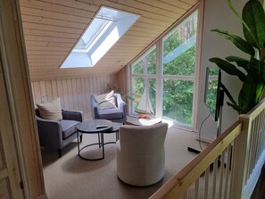 Fernseher, Kamin