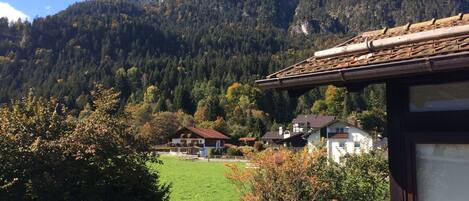 المنطقة المحيطة بالمنشأة