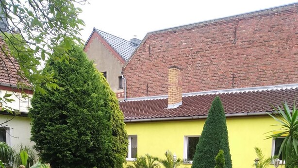 Un jardin avec un bâtiment jaune, un grand arbre et diverses plantes en pot.