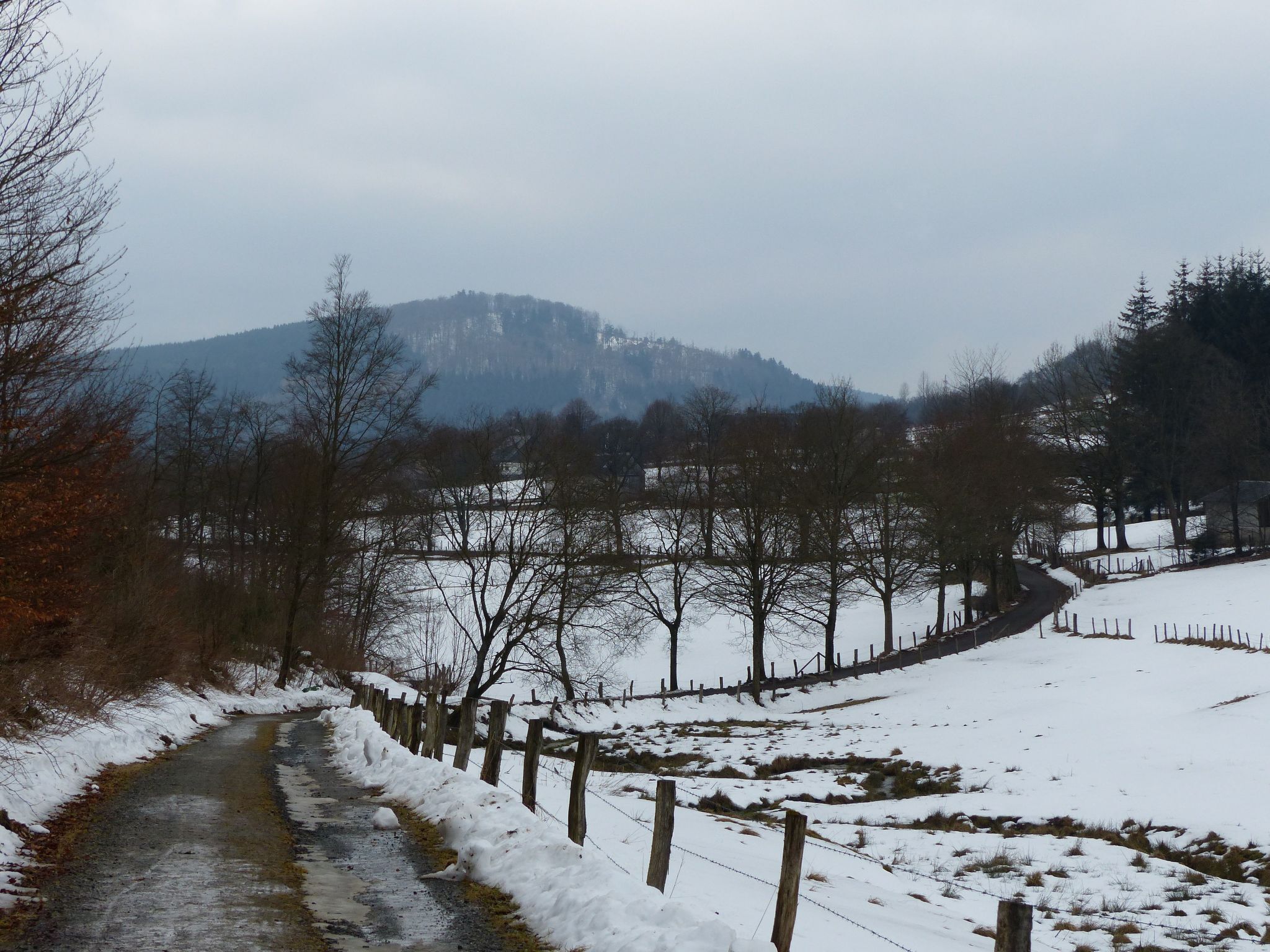 A snow-covered rural landscape with a narrow path, wooden fence, and a mountain in the background.