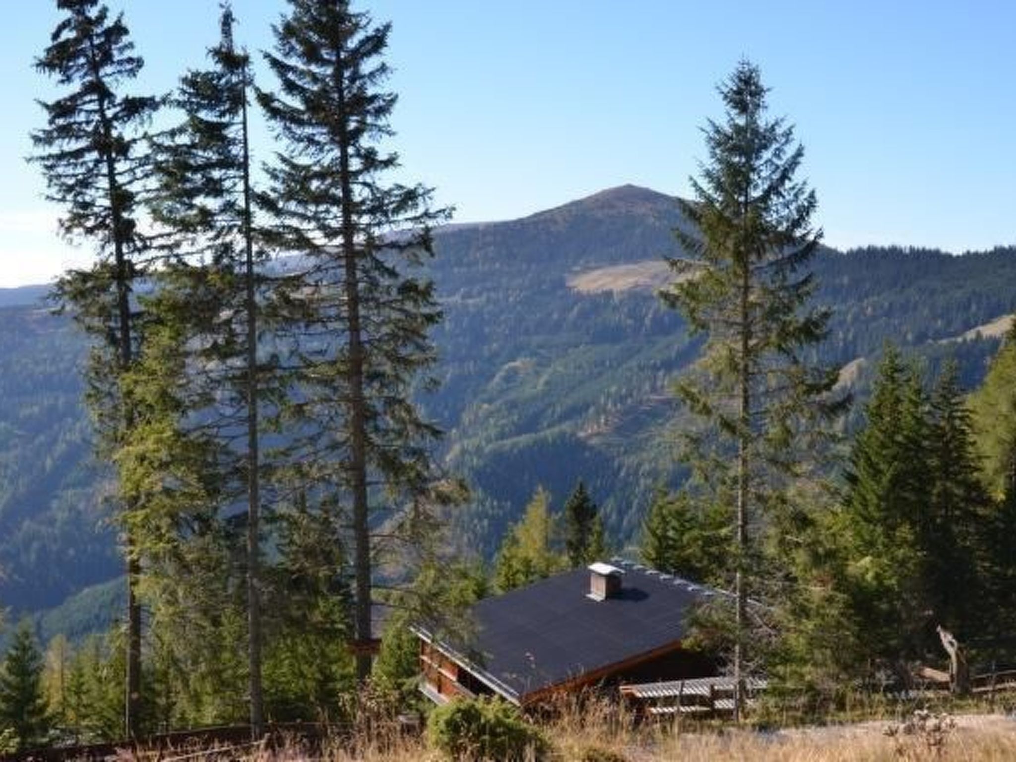 Eine Holzhütte mit geneigtem Dach, umgeben von hohen Nadelbäumen, vor einer Bergkulisse.