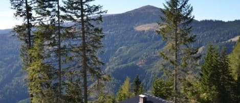 Uma cabana com telhado inclinado, rodeada por altas coníferas, com montanhas ao fundo.